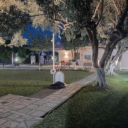 Olive Treehouse 尼坡帝