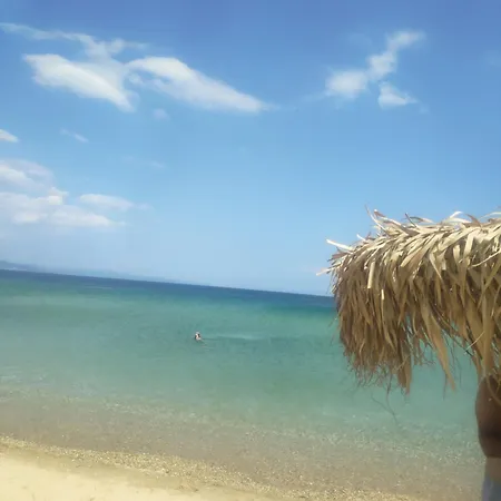 Dom wakacyjny Olive Treehouse