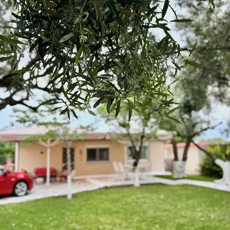 Ferienhaus Olive Treehouse