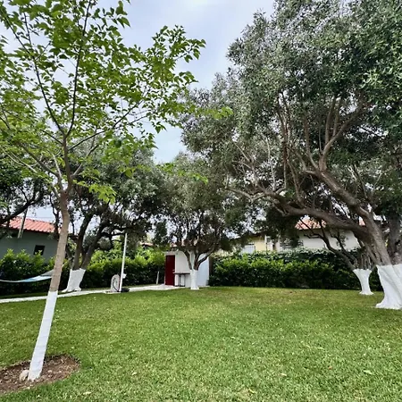 Olive Treehouse * Nea Poteidaia