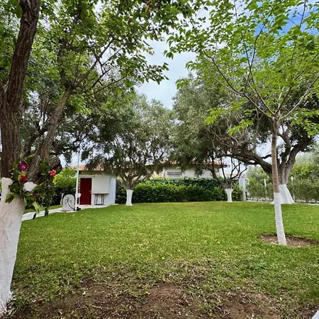 Olive Treehouse Ferienhaus