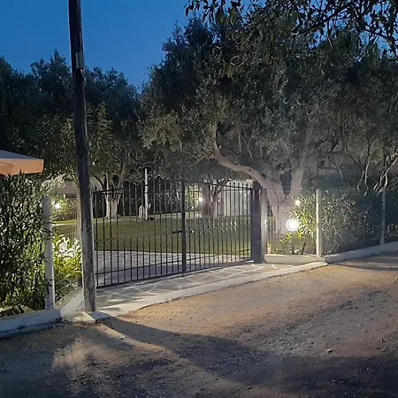 Olive Treehouse Ferienhaus