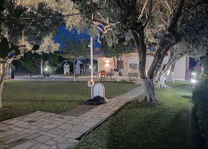 Olive Treehouse 尼坡帝