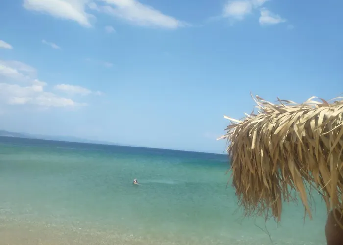 度假居 Olive Treehouse