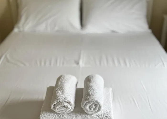 Olive Treehouse 尼坡帝