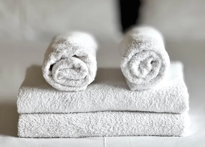 Olive Treehouse * 尼坡帝