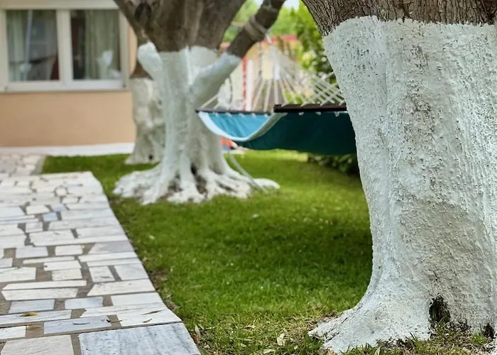 度假居 Olive Treehouse *