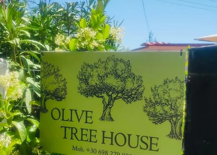 Olive Treehouse 度假居