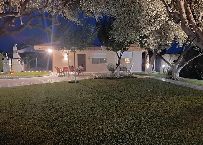 Olive Treehouse * 尼坡帝