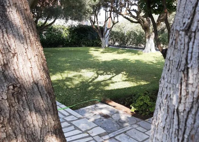 度假居 Olive Treehouse