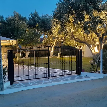 Olive Treehouse